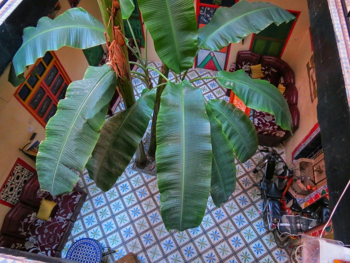 Riad Espagne Marrakesh Buitenkant foto